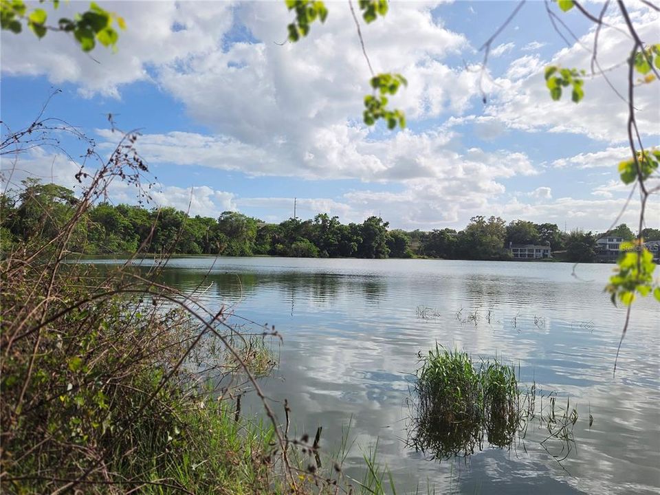 待售: $185,000 (0.78 acres)