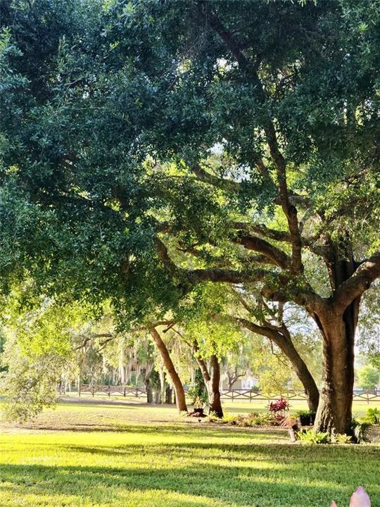 En Venta: $992,000 (4 camas, 3 baños, 2799 Pies cuadrados)