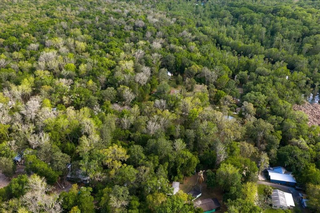 For Sale: $8,900 (0.17 acres)