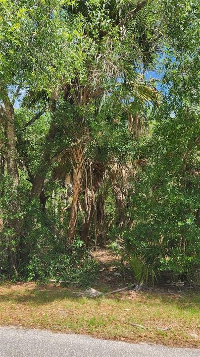 For Sale: $16,000 (0.23 acres)