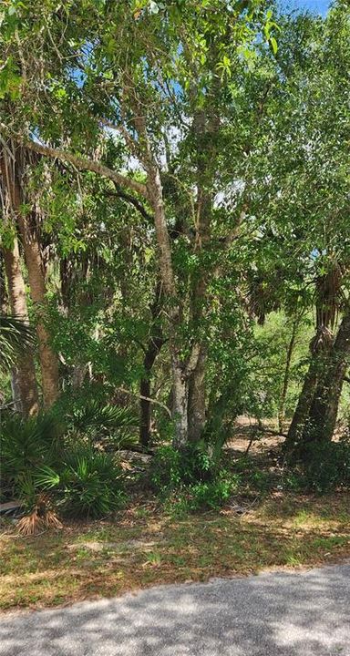 For Sale: $16,000 (0.23 acres)