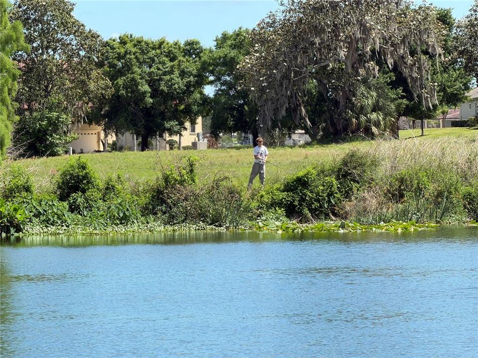 For Sale: $730,000 (3.06 acres)