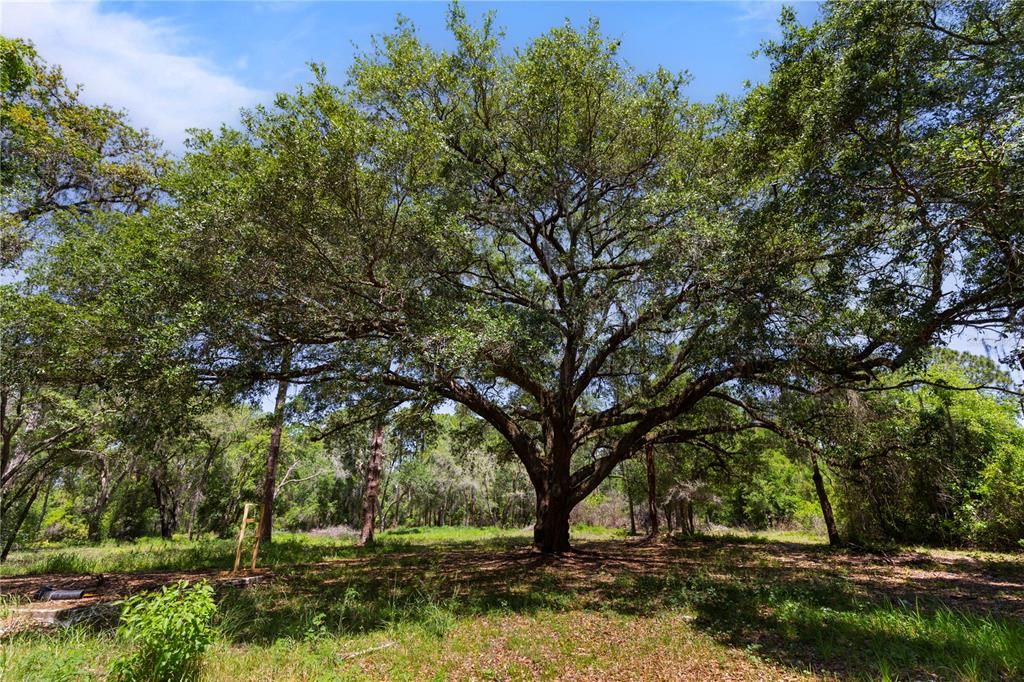 合同活跃: $375,000 (10.00 acres)