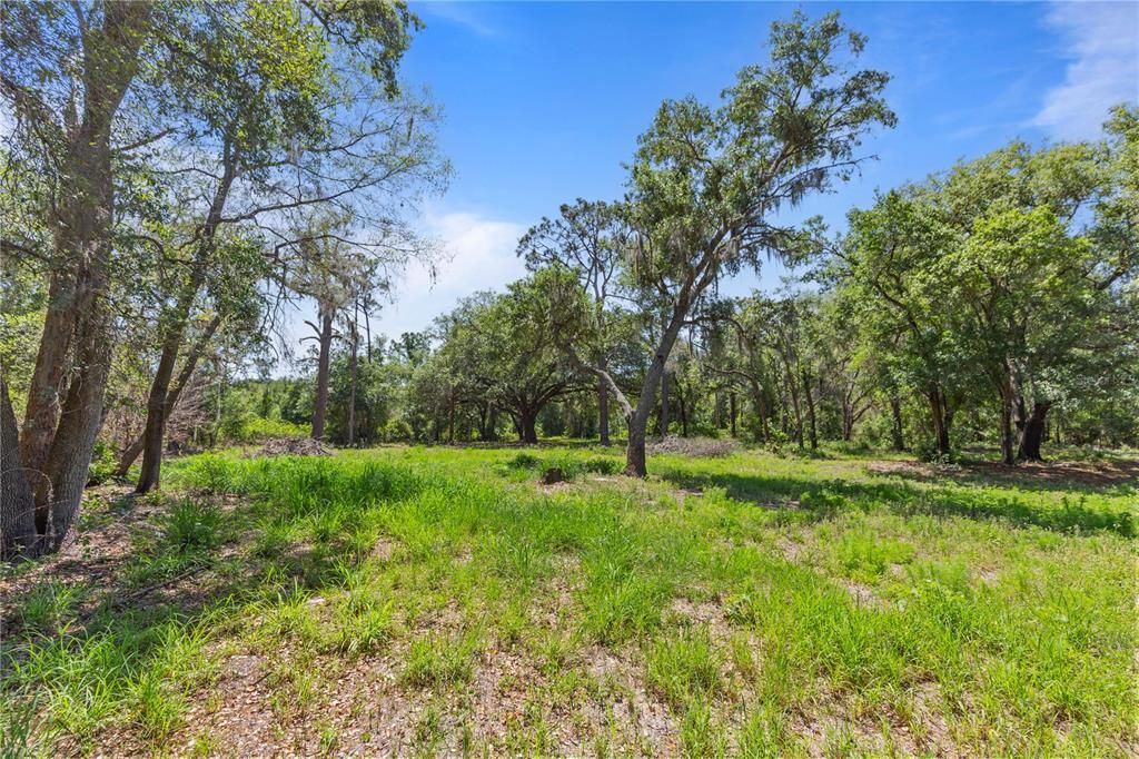 合同活跃: $375,000 (10.00 acres)