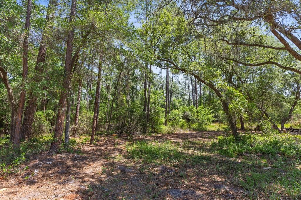 合同活跃: $375,000 (10.00 acres)