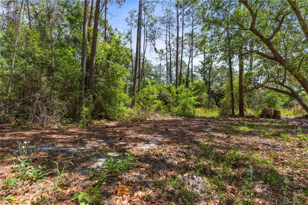 合同活跃: $375,000 (10.00 acres)