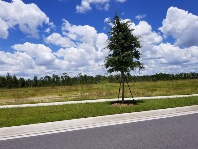 Недавно продано: $45,000 (1.18 acres)