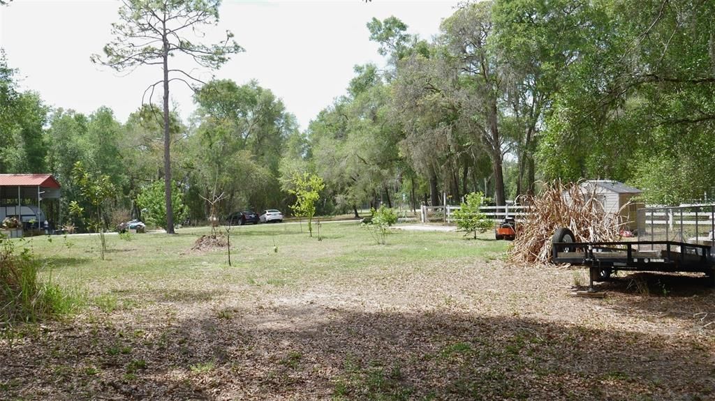 For Sale: $360,000 (4.39 acres)