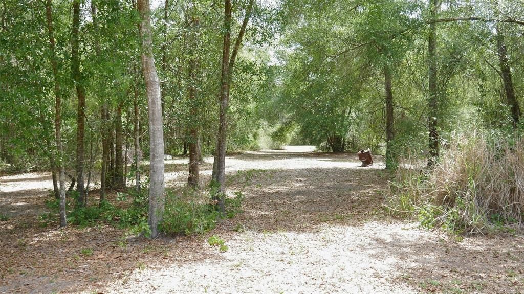 For Sale: $360,000 (4.39 acres)