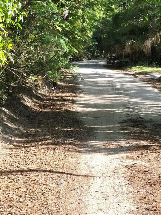 Active With Contract: $27,000 (1.25 acres)