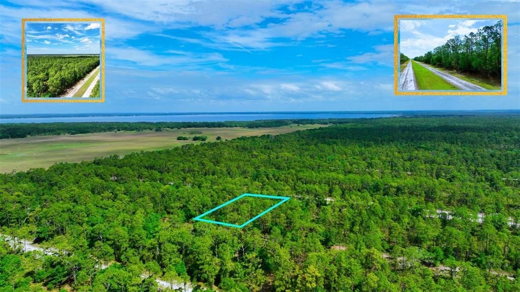 待售: $11,500 (0.50 acres)