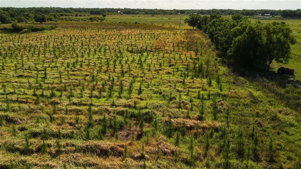待售: $229,900 (10.00 acres)
