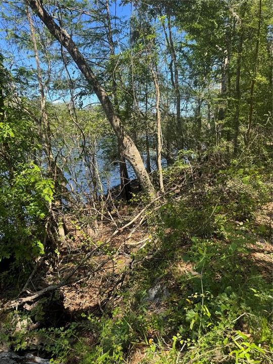 Vendido Recientemente: $79,900 (0.51 acres)
