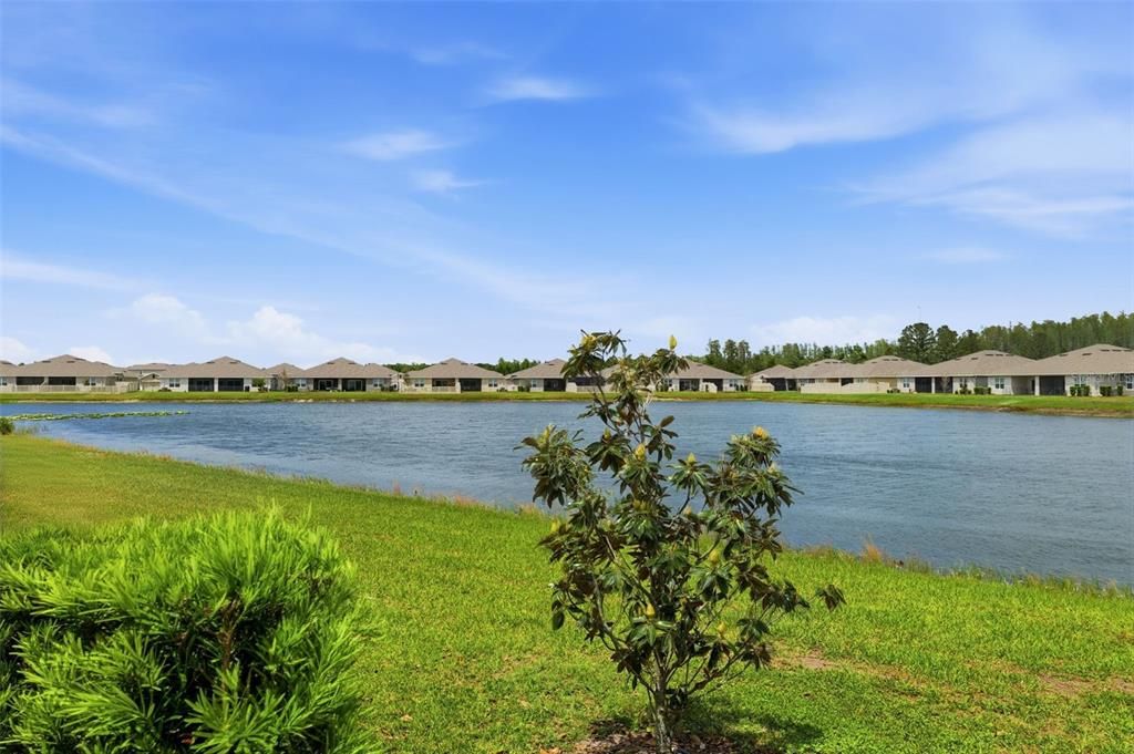 Activo con contrato: $299,900 (3 camas, 2 baños, 1532 Pies cuadrados)