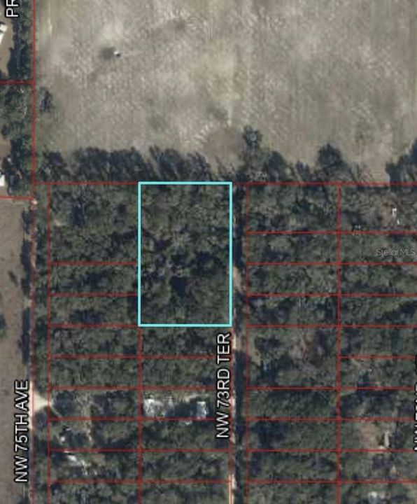 待售: $55,000 (3.07 acres)