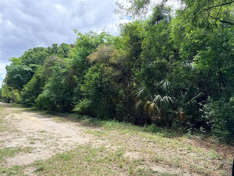 待售: $55,000 (3.07 acres)
