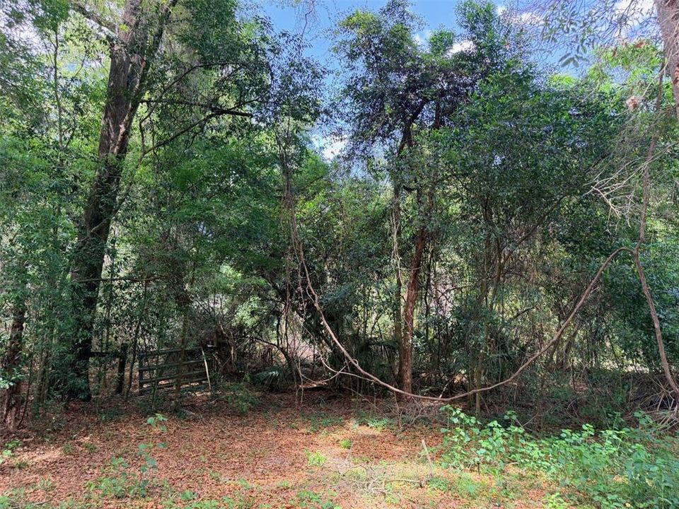 待售: $55,000 (3.07 acres)
