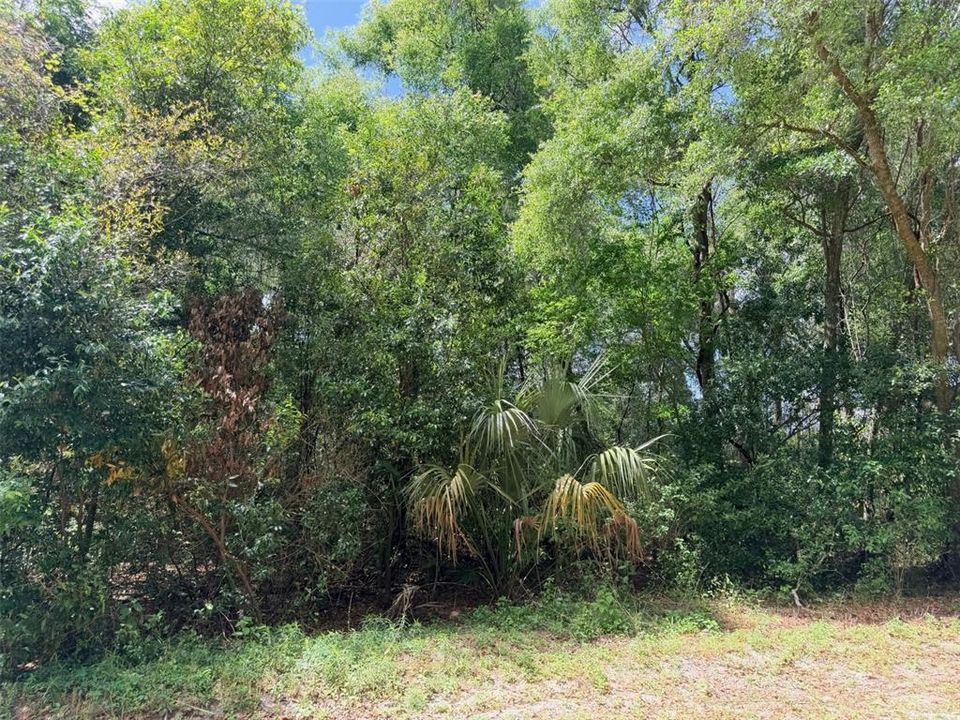 待售: $55,000 (3.07 acres)