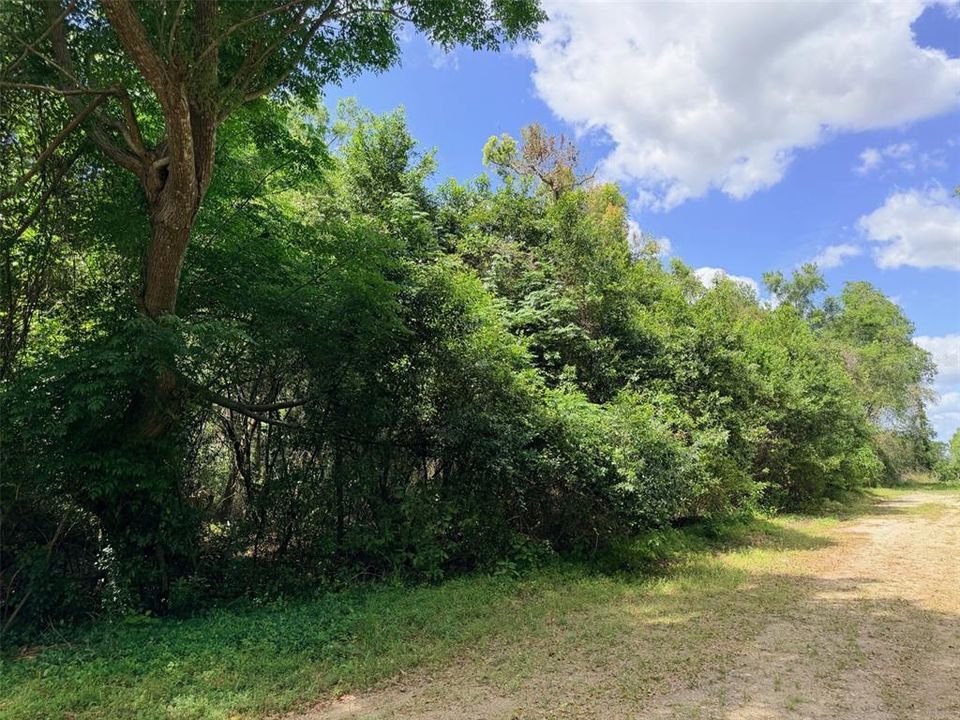 待售: $55,000 (3.07 acres)