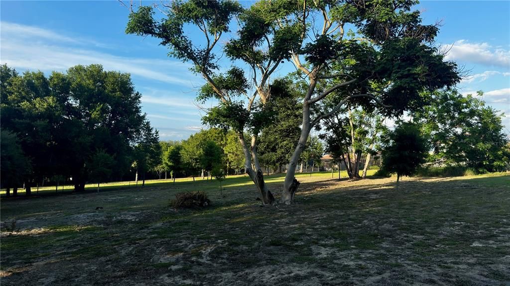 待售: $249,000 (4.36 acres)