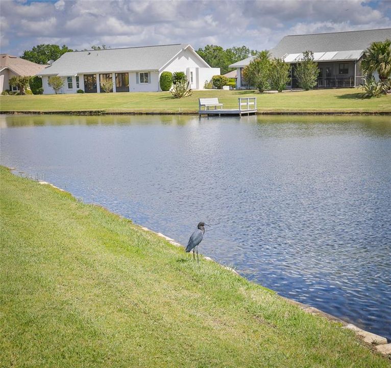 Activo con contrato: $434,500 (2 camas, 2 baños, 2185 Pies cuadrados)