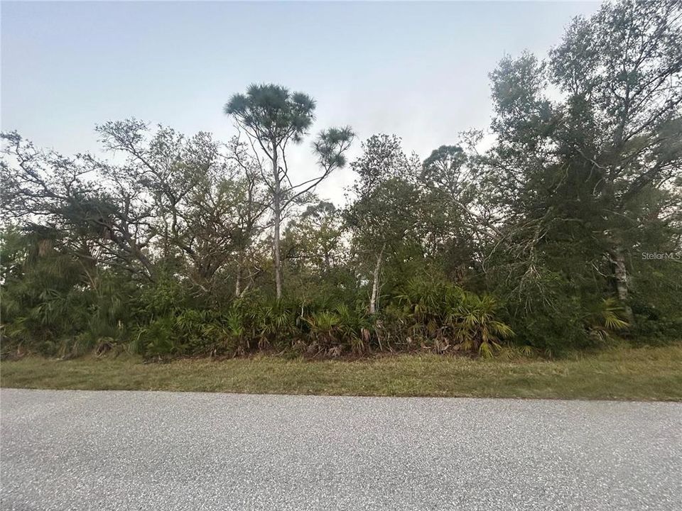 For Sale: $47,500 (0.23 acres)