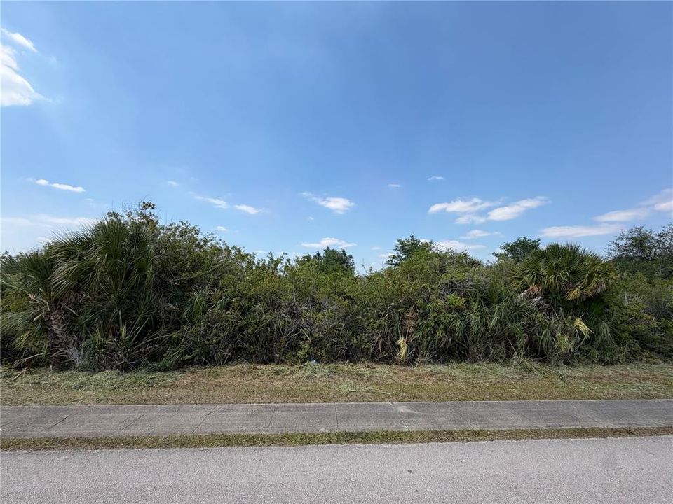 Active With Contract: $39,999 (0.23 acres)
