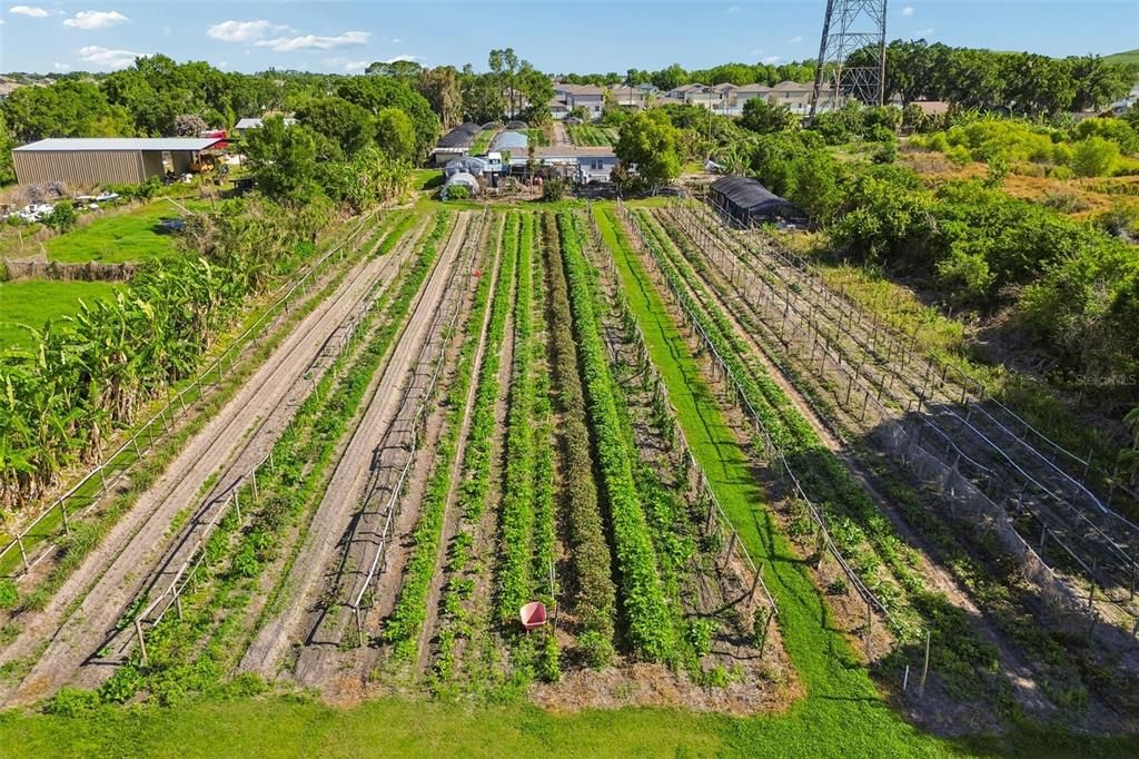На продажу: $539,000 (3 спален, 2 ванн, 1620 Квадратных фут)