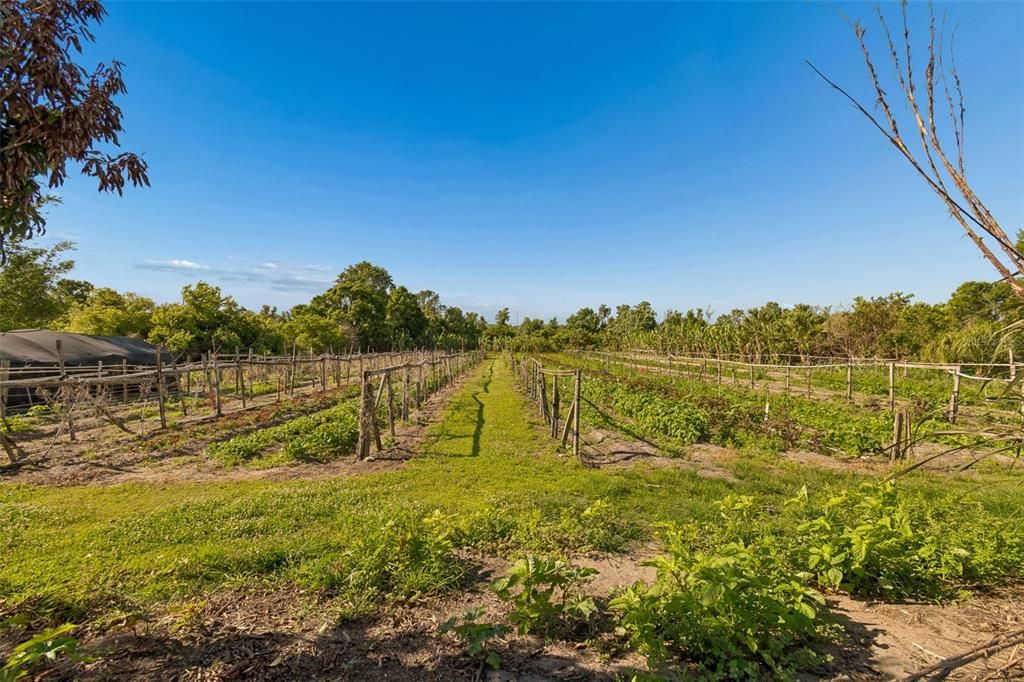 На продажу: $539,000 (3 спален, 2 ванн, 1620 Квадратных фут)