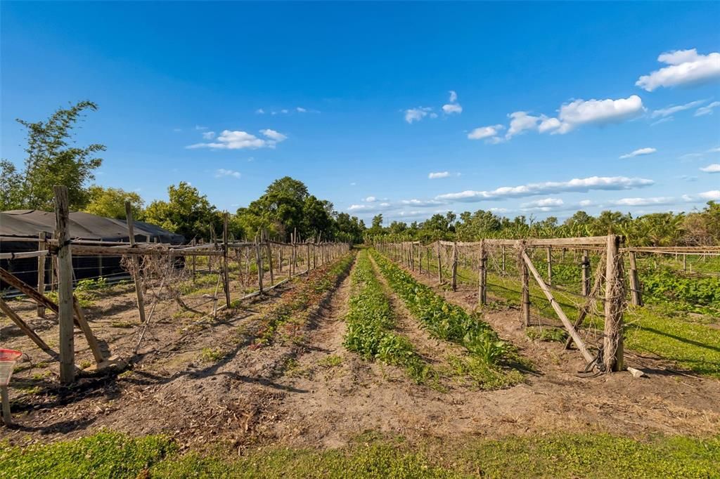 На продажу: $539,000 (3 спален, 2 ванн, 1620 Квадратных фут)