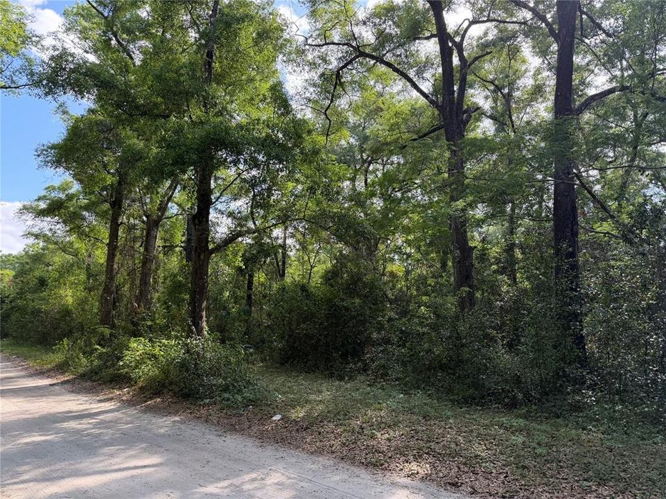 For Sale: $25,000 (0.26 acres)