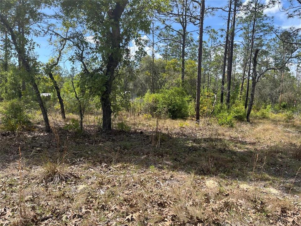 Vendido Recientemente: $5,000 (0.25 acres)