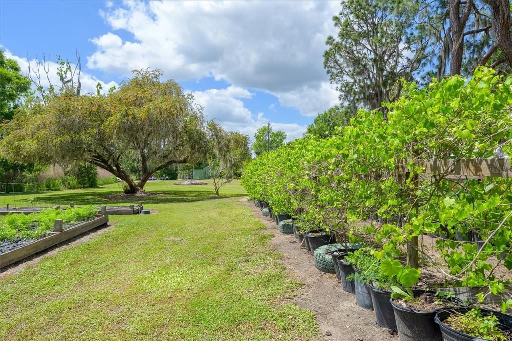 En Venta: $749,900 (3 camas, 2 baños, 1612 Pies cuadrados)