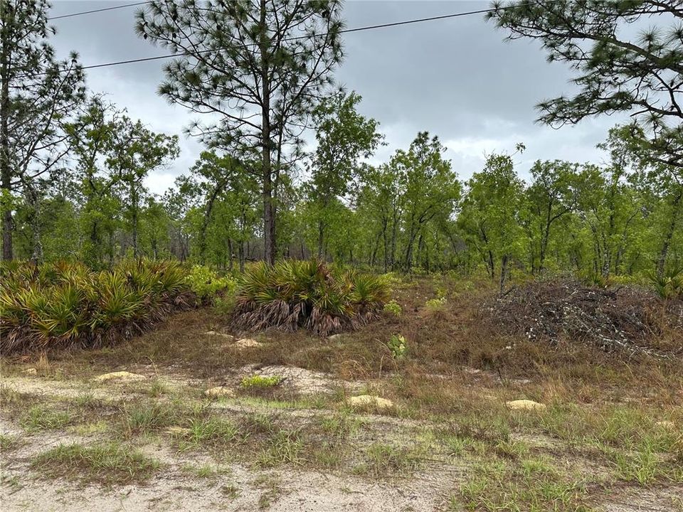 Active With Contract: $55,000 (1.16 acres)