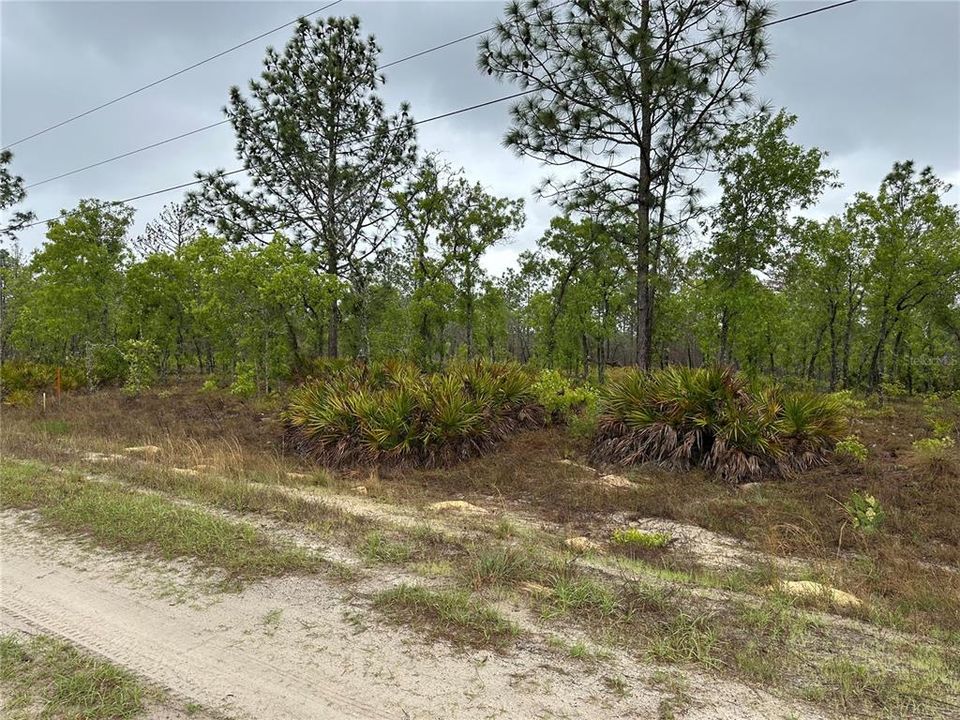 Active With Contract: $55,000 (1.16 acres)