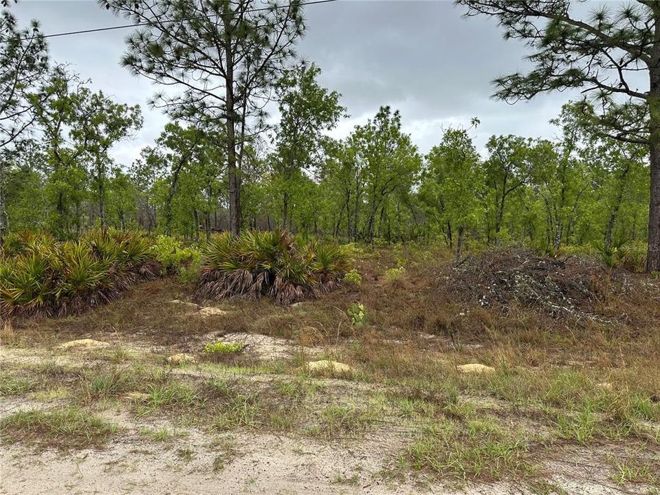 Active With Contract: $55,000 (1.16 acres)