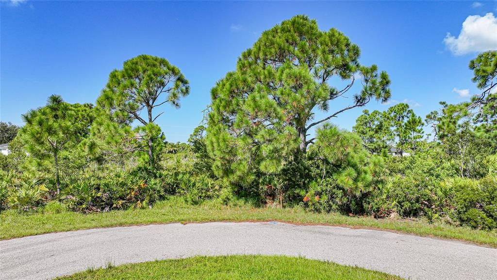 Active With Contract: $16,900 (0.21 acres)