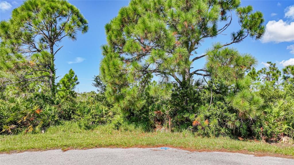 Active With Contract: $16,900 (0.21 acres)