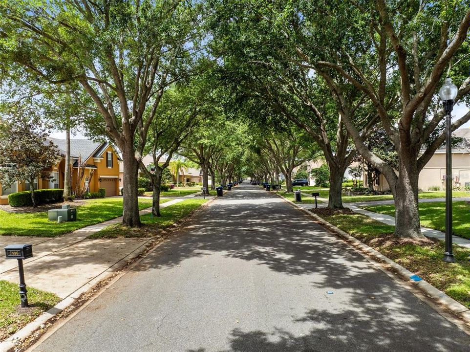 Active With Contract: $975,000 (5 beds, 3 baths, 4006 Square Feet)