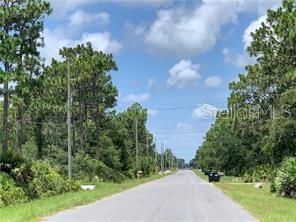 待售: $175,000 (3.45 acres)