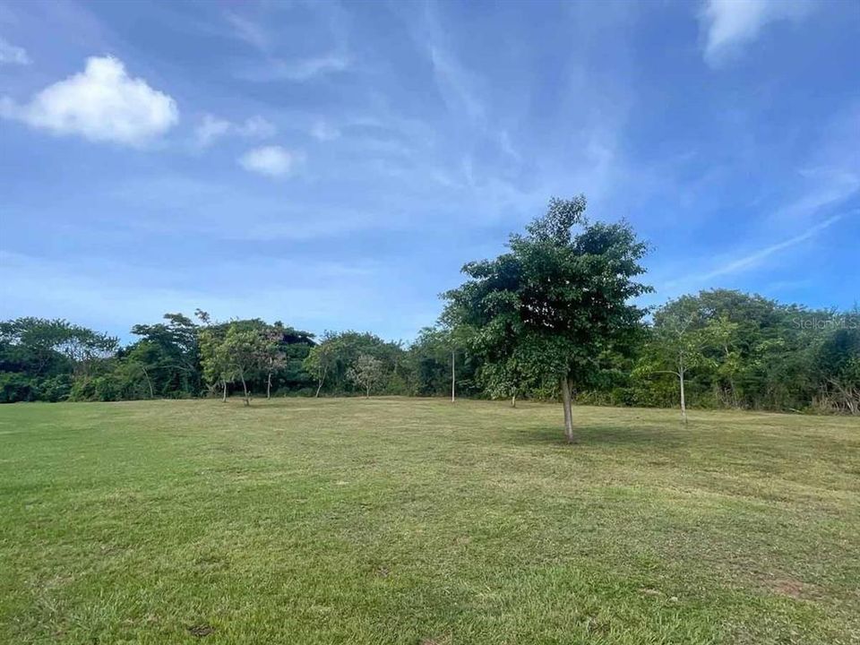 En Venta: $344,000 (3.86 acres)