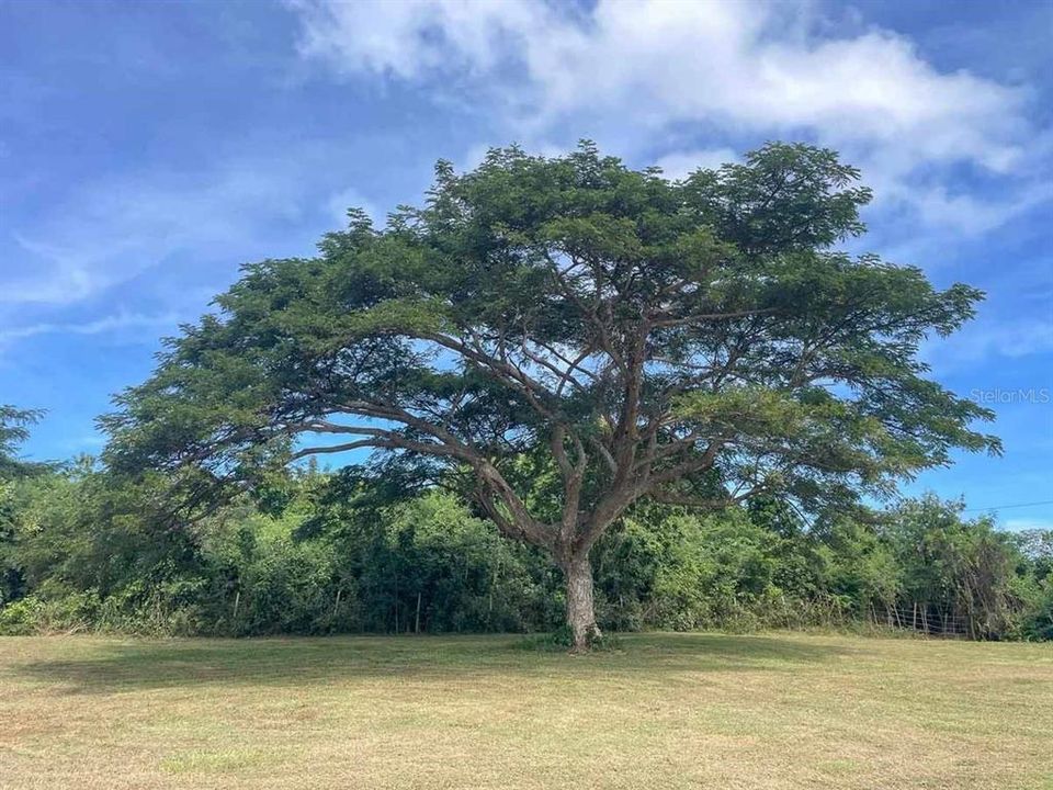 En Venta: $344,000 (3.86 acres)