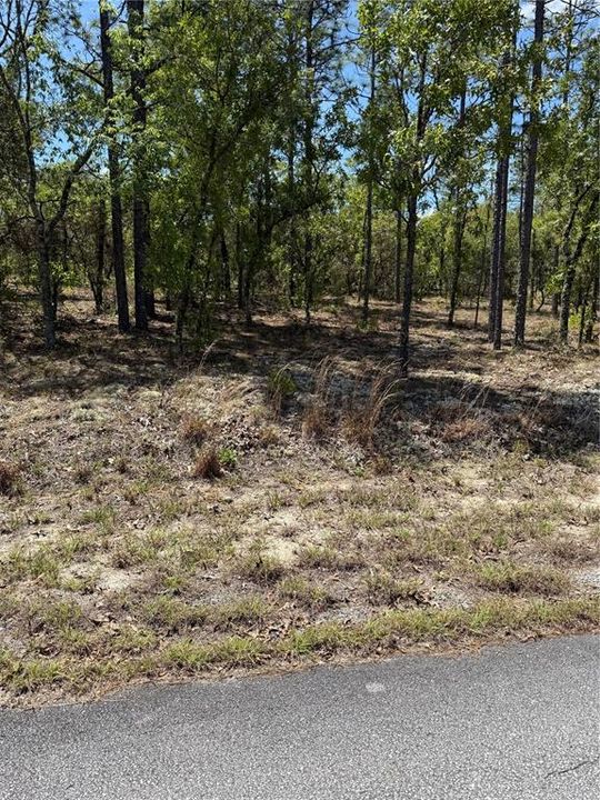 For Sale: $29,900 (0.99 acres)