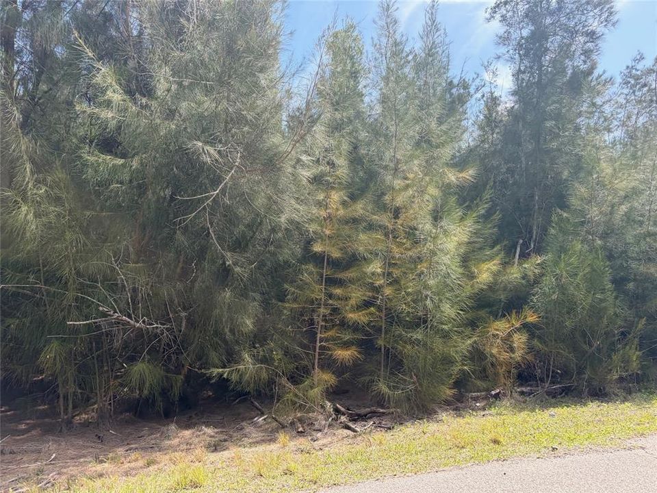 На продажу: $55,000 (0.33 acres)