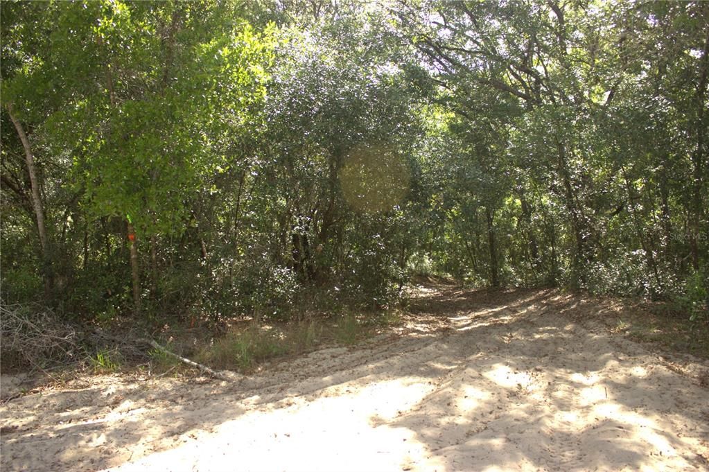 待售: $40,000 (0.38 acres)