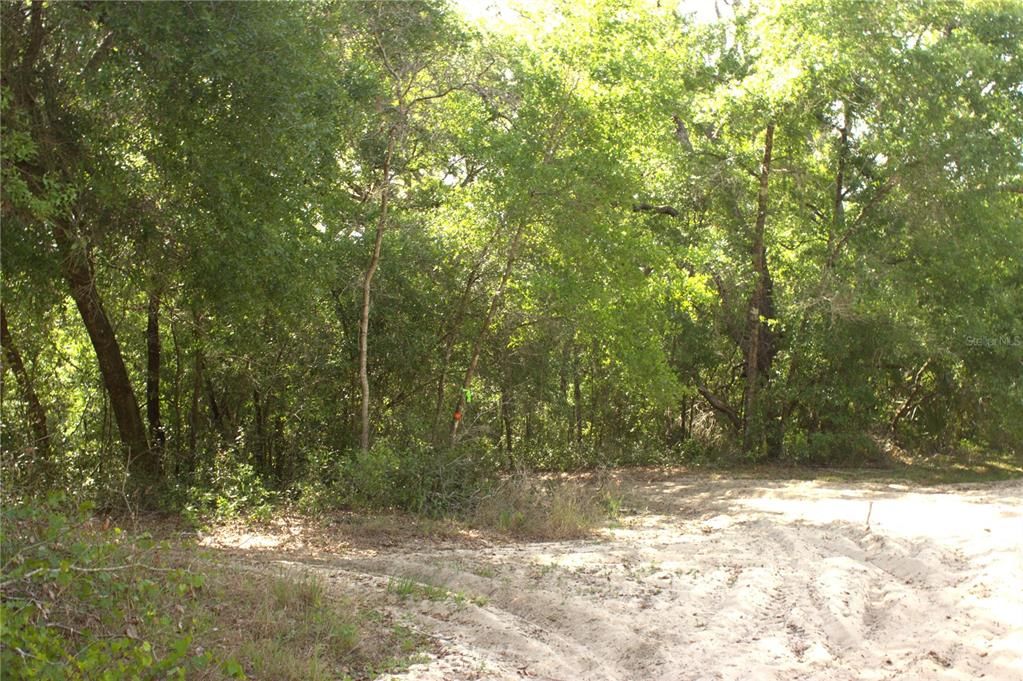 待售: $40,000 (0.38 acres)