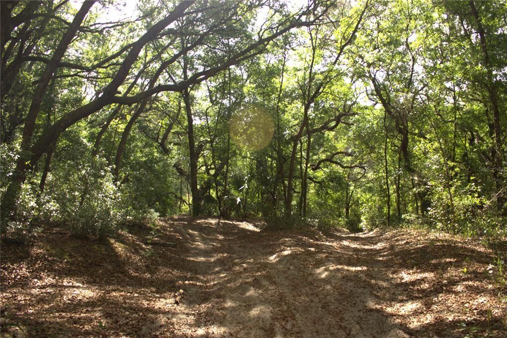 待售: $40,000 (0.38 acres)