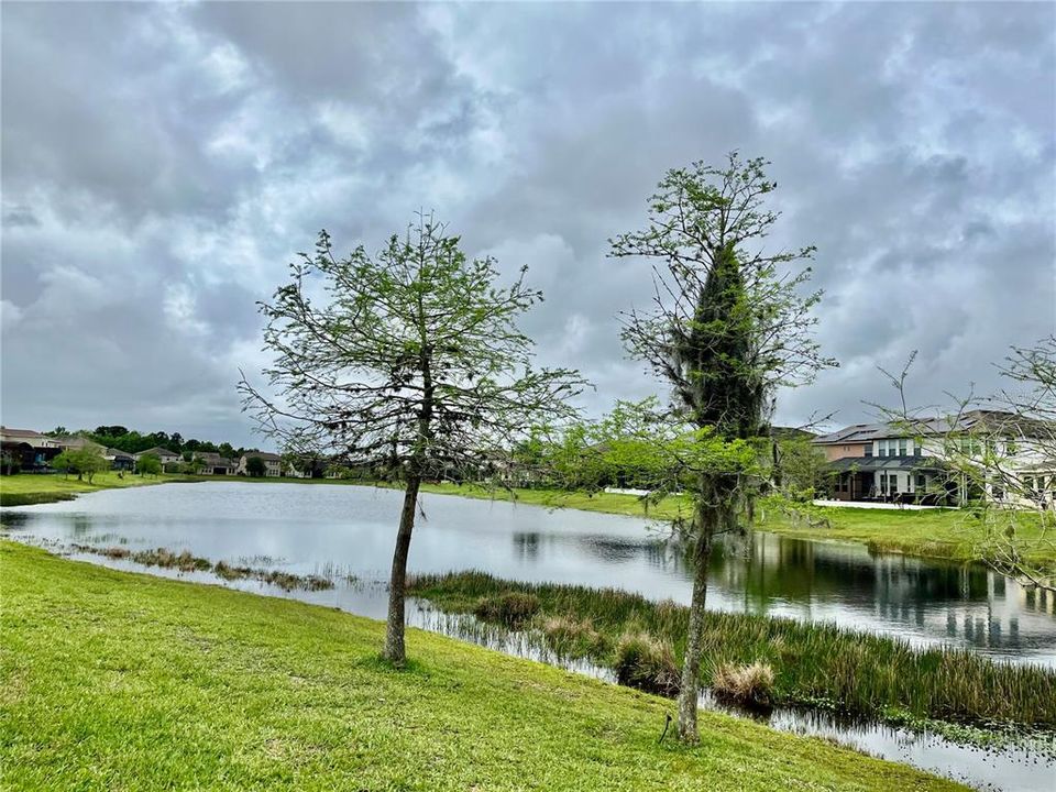 En Venta: $579,900 (4 camas, 3 baños, 2890 Pies cuadrados)