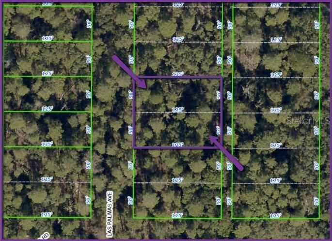 For Sale: $18,700 (0.29 acres)
