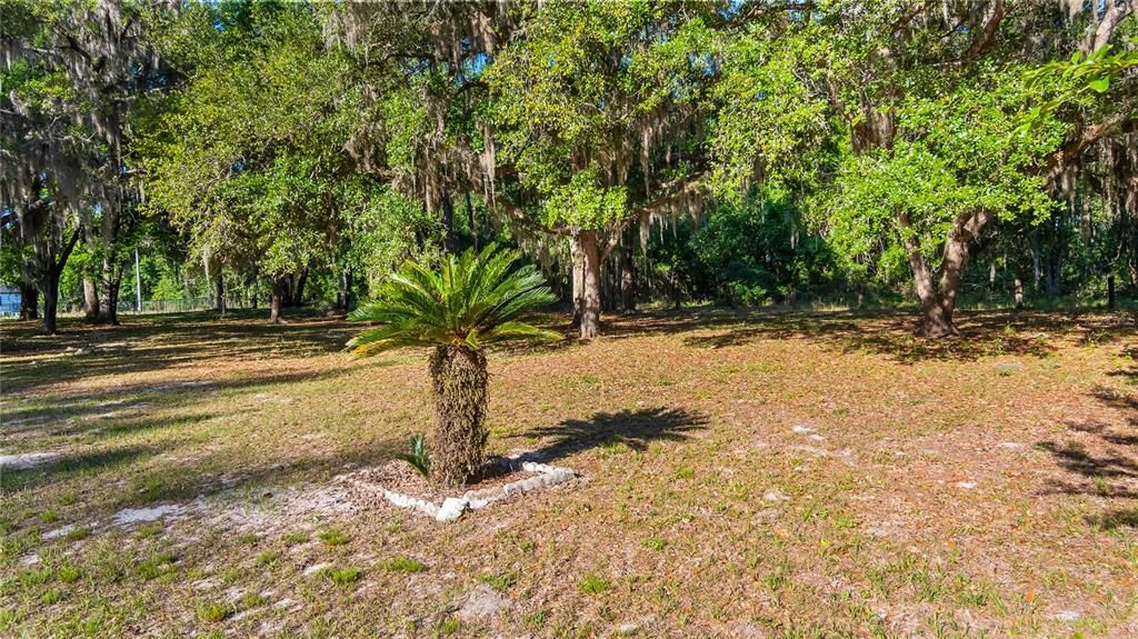 En Venta: $175,000 (0.88 acres)